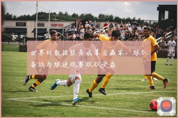 世界杯数据服务成幕后赢家，球队备战与球迷观赛双双受益
