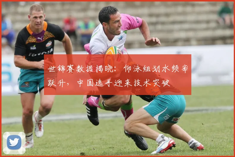 世锦赛数据揭晓：仰泳组划水频率跃升，中国选手迎来技术突破
