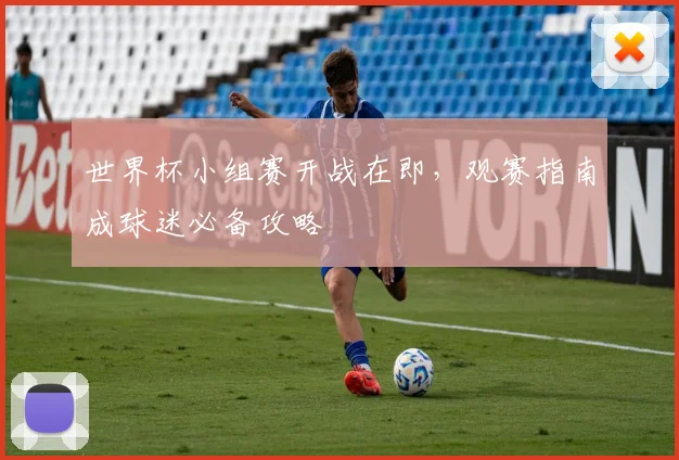 世界杯小组赛开战在即，观赛指南成球迷必备攻略