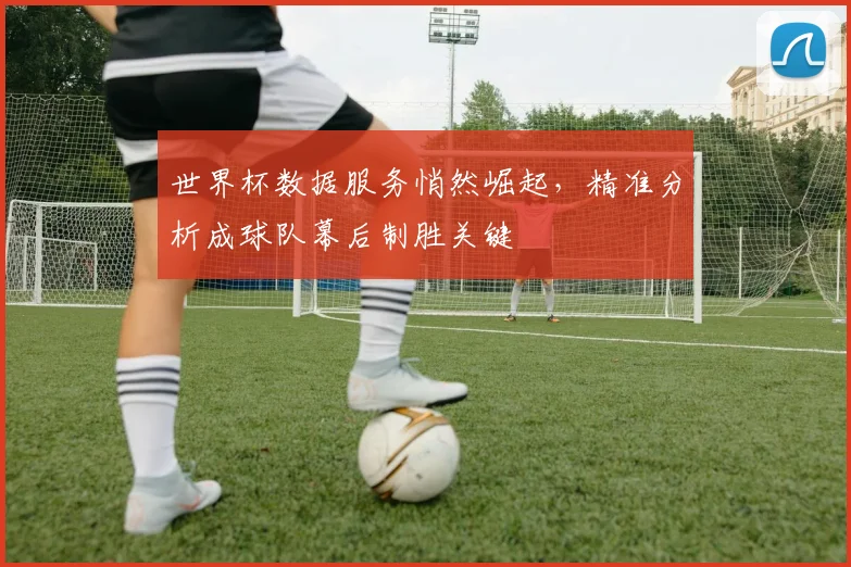 世界杯数据服务悄然崛起，精准分析成球队幕后制胜关键